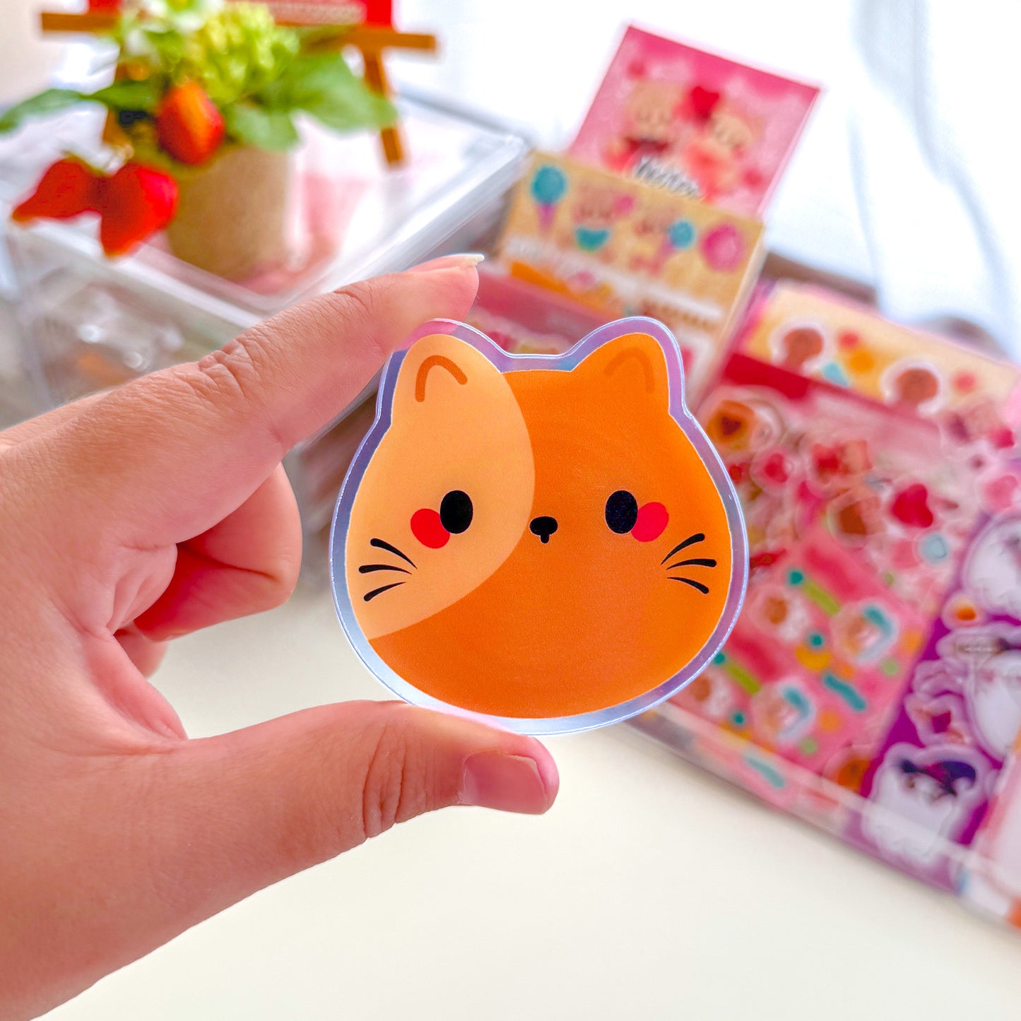 Chubby Kitty Cat Chubbs Acrylic Phone Grip